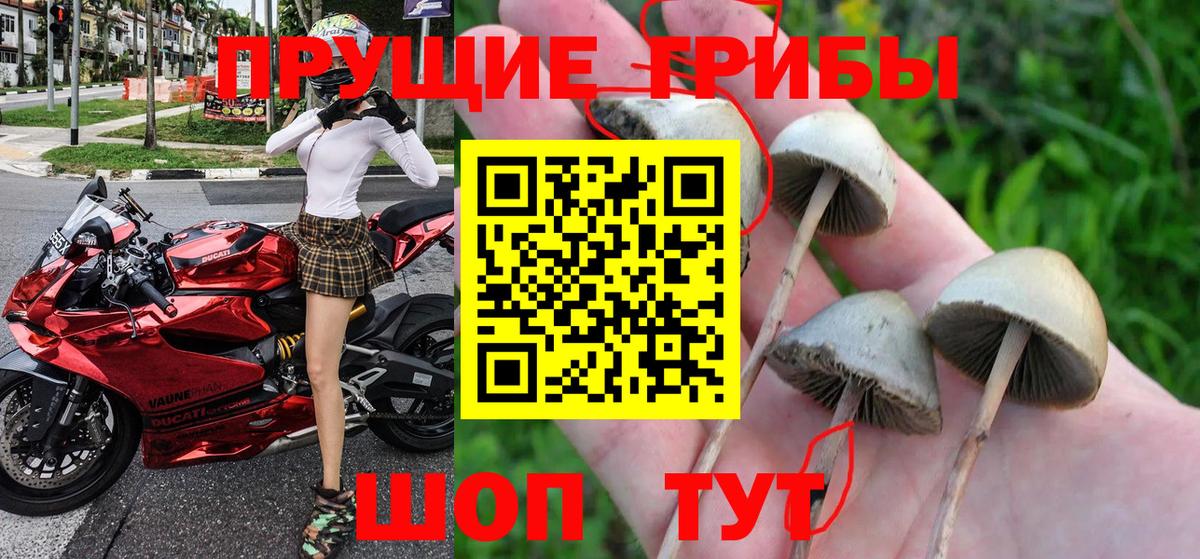 Галлюциногенные грибы мицелий  Вход с VPN  где купить наркотик  Нягань 